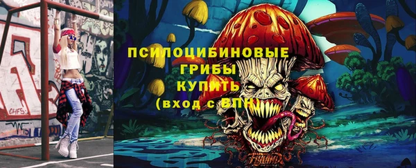 МДПВ Богородицк